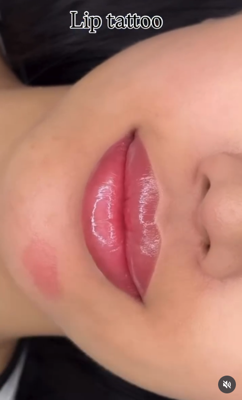 20260710_220119_liptatoo
